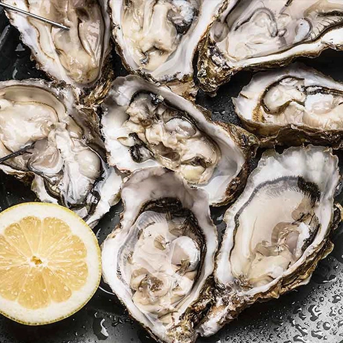 Huîtres de Bretagne